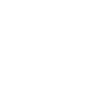 Shape Image